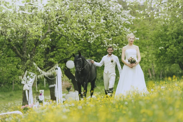 Noivo surpreendeu sua noiva — Fotografia de Stock