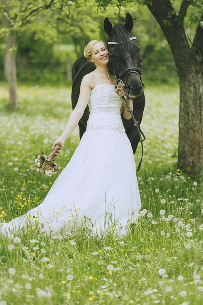 Tuin bruiloft met paard — Stockfoto