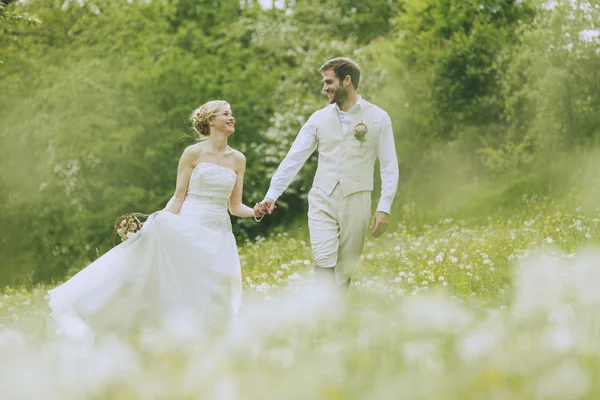 Свадьба в саду — стоковое фото