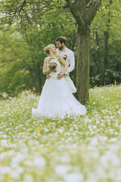 花园婚礼情侣 免版税图库图片