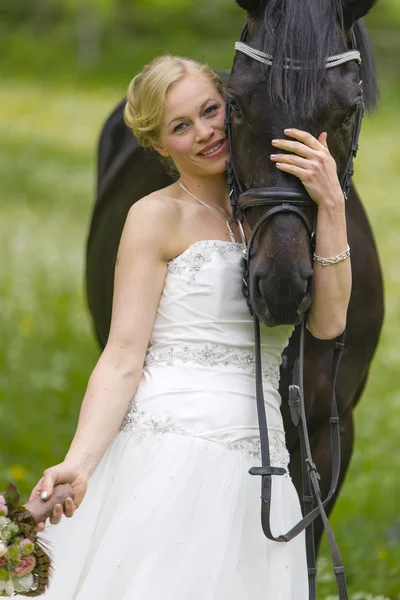 Jardim Casamento com cavalo — Fotografia de Stock