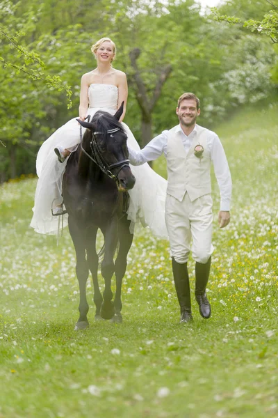 Садовая свадьба невесты на лошади — стоковое фото