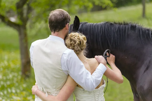말과 함께 결혼식 — 스톡 사진