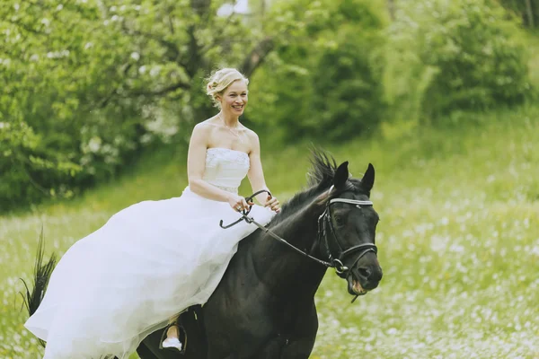 Equitazione sposa in prato Foto Stock Royalty Free