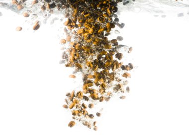 kahve çekirdekleri, derin su altında düşüş