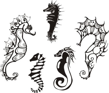 Deniz atları ayarla