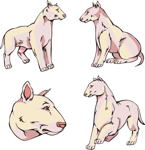 Bull Terrier perros — Archivo Imágenes Vectoriales