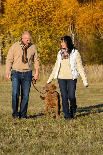 Couple chien de promenade en automne parc ensoleillé Images De Stock Libres De Droits