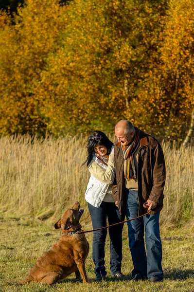 Paar trainiert Hund Herbst Sonnenuntergang Park lizenzfreie Stockbilder