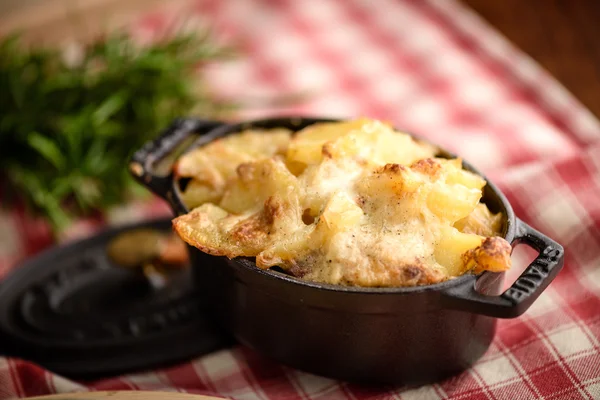 Potato gratin dauphinois — Stock Photo, Image