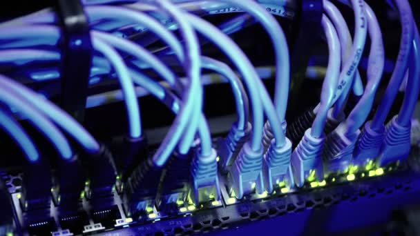 Luces desenfocadas del interruptor Ethernet — Vídeos de Stock