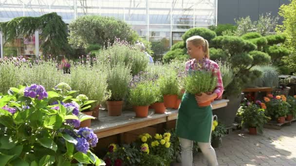 Tuincentrum assistent glimlachend voor paarse lavendel planten — Stockvideo