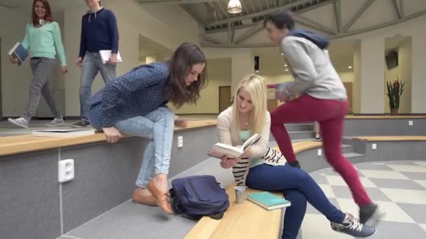 Estudantes caminhando e relaxando dentro do corredor da faculdade — Vídeo de Stock
