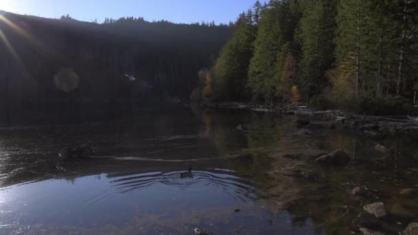 Lago de las montañas con puesta de sol de otoño en el parque nacional — Vídeo de stock