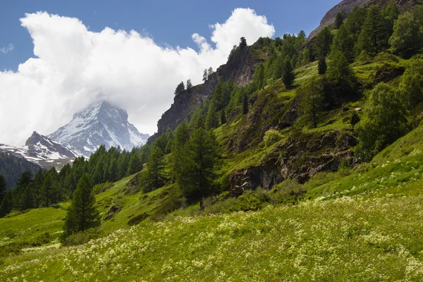 Kilátás nyílik a Matterhorn-hegyre — Stock Fotó