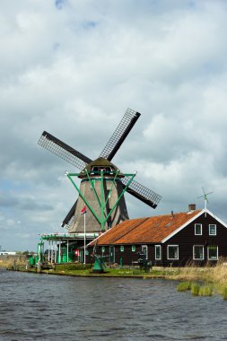 zaanse Schans'a yel