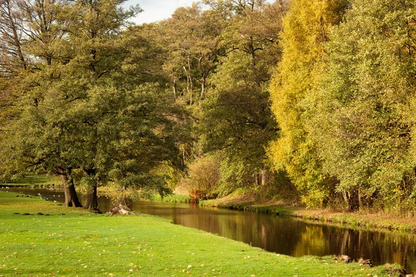 Fall in a park — Stock Photo, Image