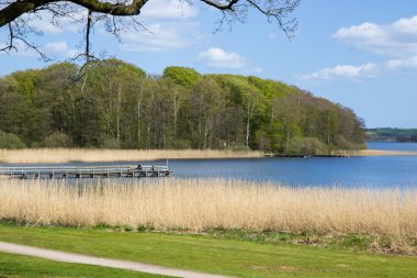 alanlar ve çayırlar ile Jutland