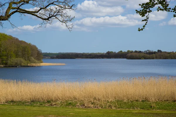 Fields and meadows of Jutland — Stock Photo, Image