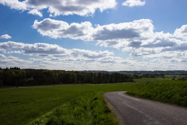 Åkrar och ängar på Jylland — Stockfoto