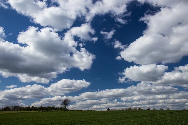 Fields and meadows of Jutland — Stock Photo, Image