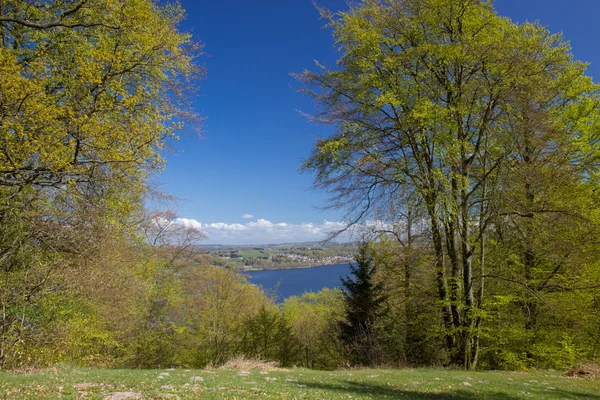 Visa över Silkeborg Lake i Danmark — Stockfoto