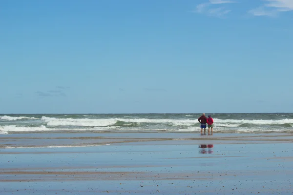 Sand på stranden vid Cape Cod — Stockfoto