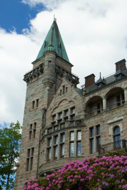 Vaxjo, İsveç yakınındaki Teleborgs slott