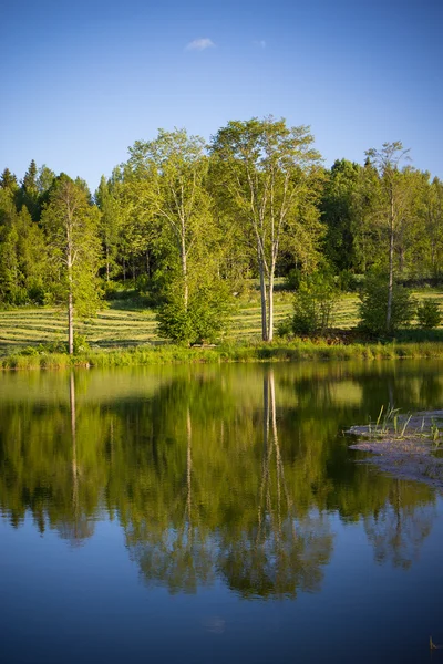 Linda paisagem lago na Suécia — Fotografia de Stock