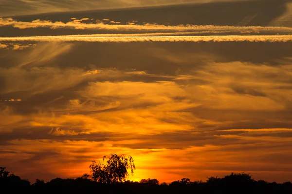 Un cielo al atardecer —  Fotos de Stock