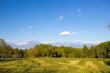 İsveç'te orman üzerinde akşam gökyüzü