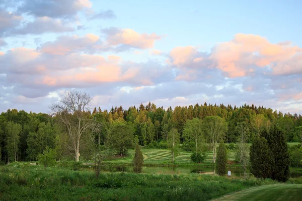 Ciel du soir sur la forêt en Suède — Photo