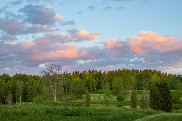 Cielo nocturno sobre el bosque en Suecia — Foto de Stock