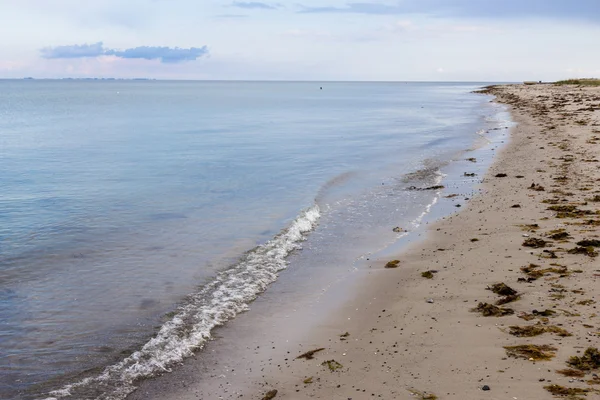 在丹麦日德兰半岛的海滩 — 图库照片