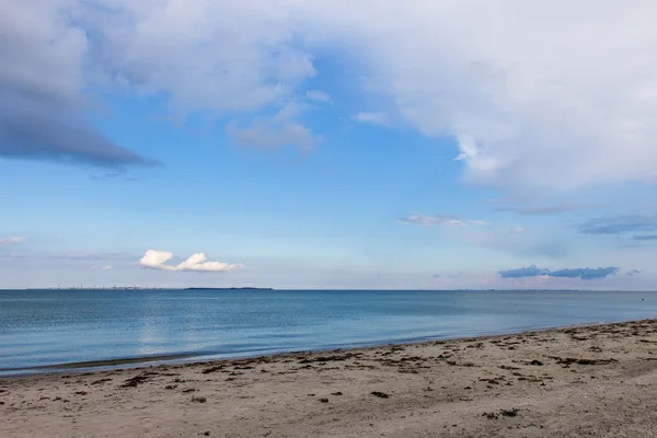 デンマーク、ユトランド半島のビーチ — ストック写真