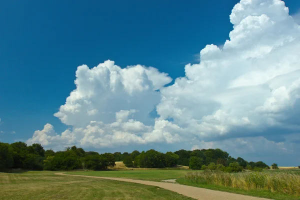 Vista sul fiordo di Roskilde — Foto Stock