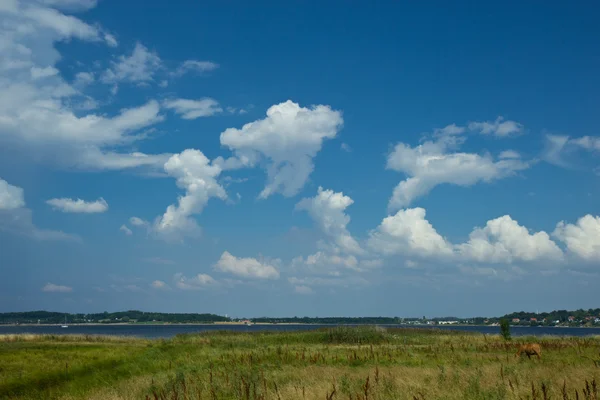 Vista sobre el fiordo de Roskilde — Foto de Stock