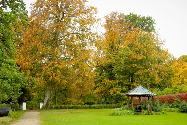 Naturaleza de otoño dorado — Foto de Stock