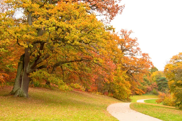 Fall i en park — Stockfoto