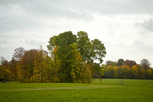 Indian summer — Stock Photo, Image