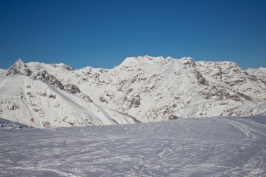 Alpleri'nde kış zamanında çam ağaçları