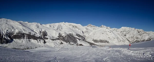 Tannenbäume im Winter in den Alpen — Stockfoto