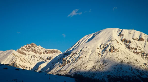 Abetos no tempo de inverno em Alpes — Fotografia de Stock