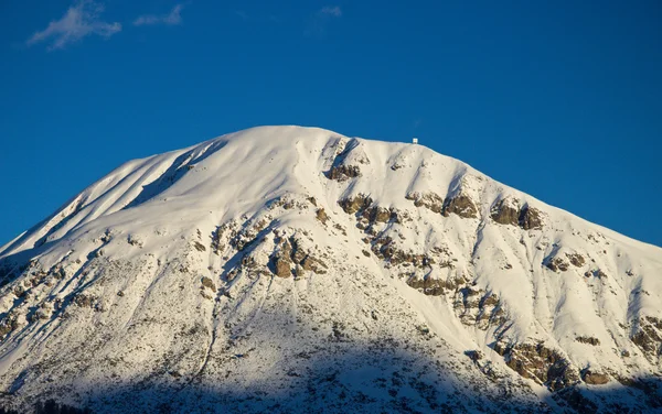 Sparren in wintertijd in Alpen — Stockfoto