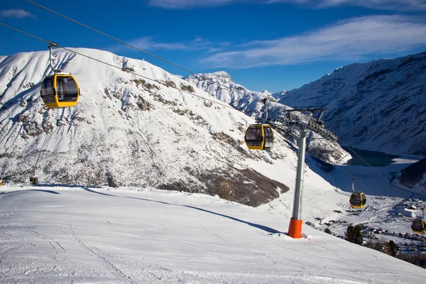 Abetos en invierno en los Alpes — Foto de Stock