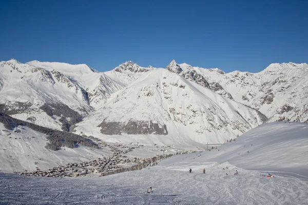 Abetos no tempo de inverno em Alpes — Fotografia de Stock