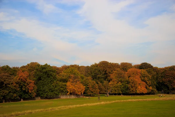 Höstens colloers — Stockfoto