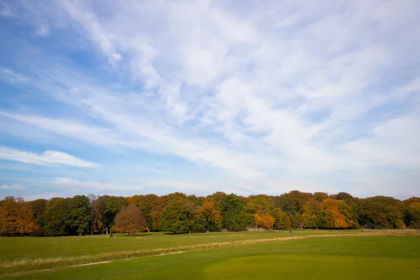 Autumn colloers — Stock Photo, Image