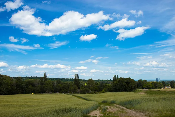 Landscape near Kiev. Ukraine. — Stock Photo, Image