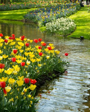 laleler Keukenhof Parkı